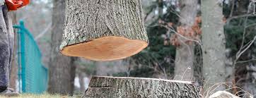 Best Emergency Tree Removal  in Owens Cross Roads, AL